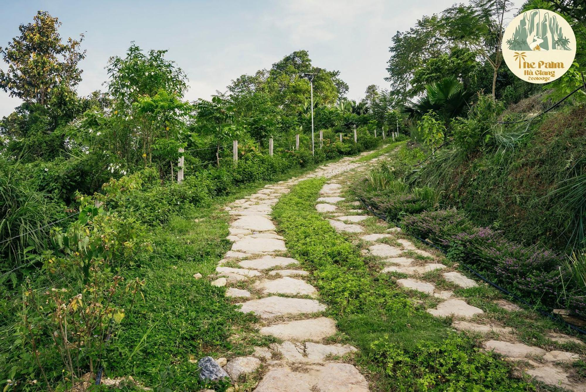 Tvpalm Ecolodge Ha Giang Buitenkant foto