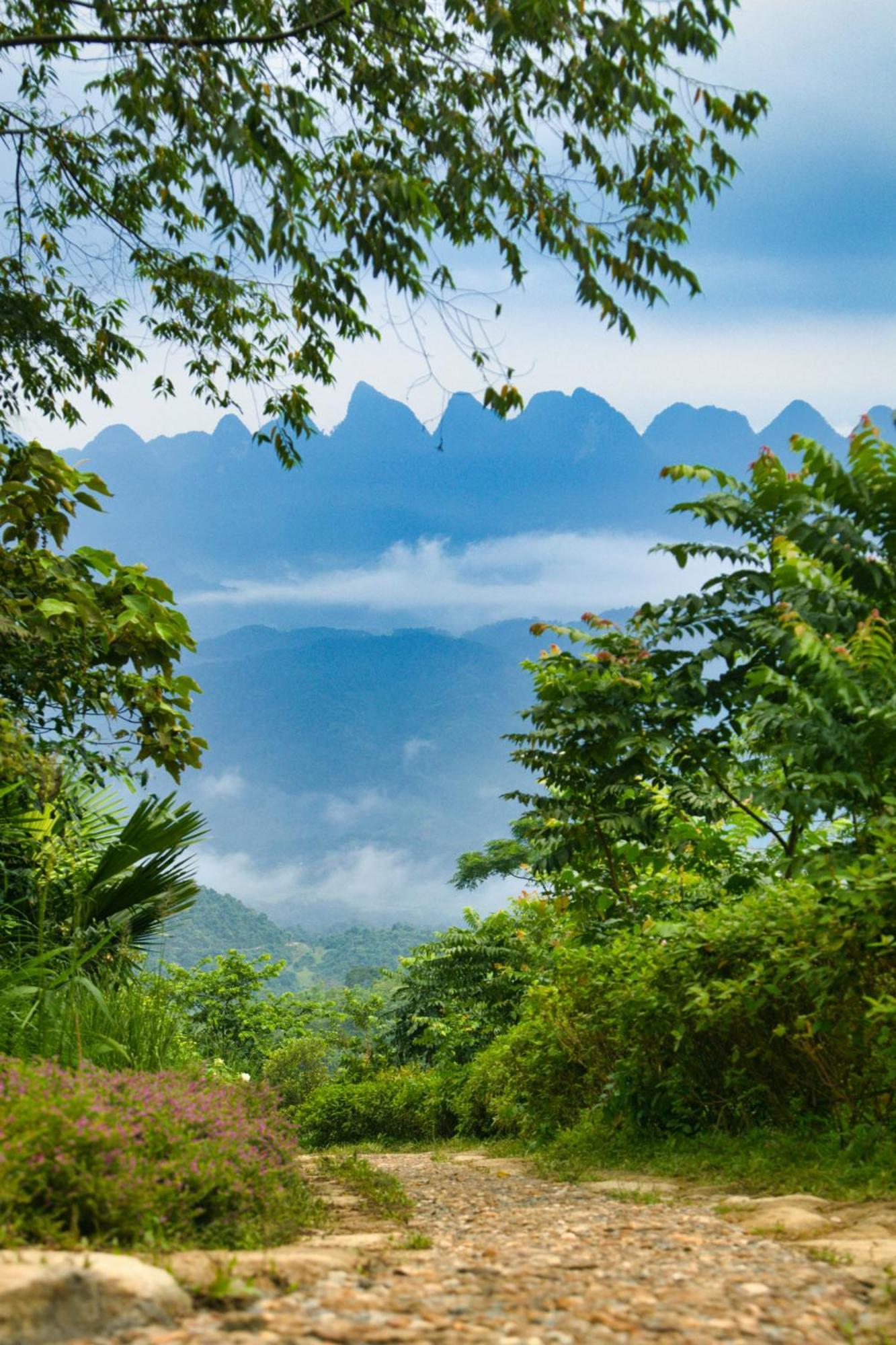 Tvpalm Ecolodge Ha Giang Buitenkant foto