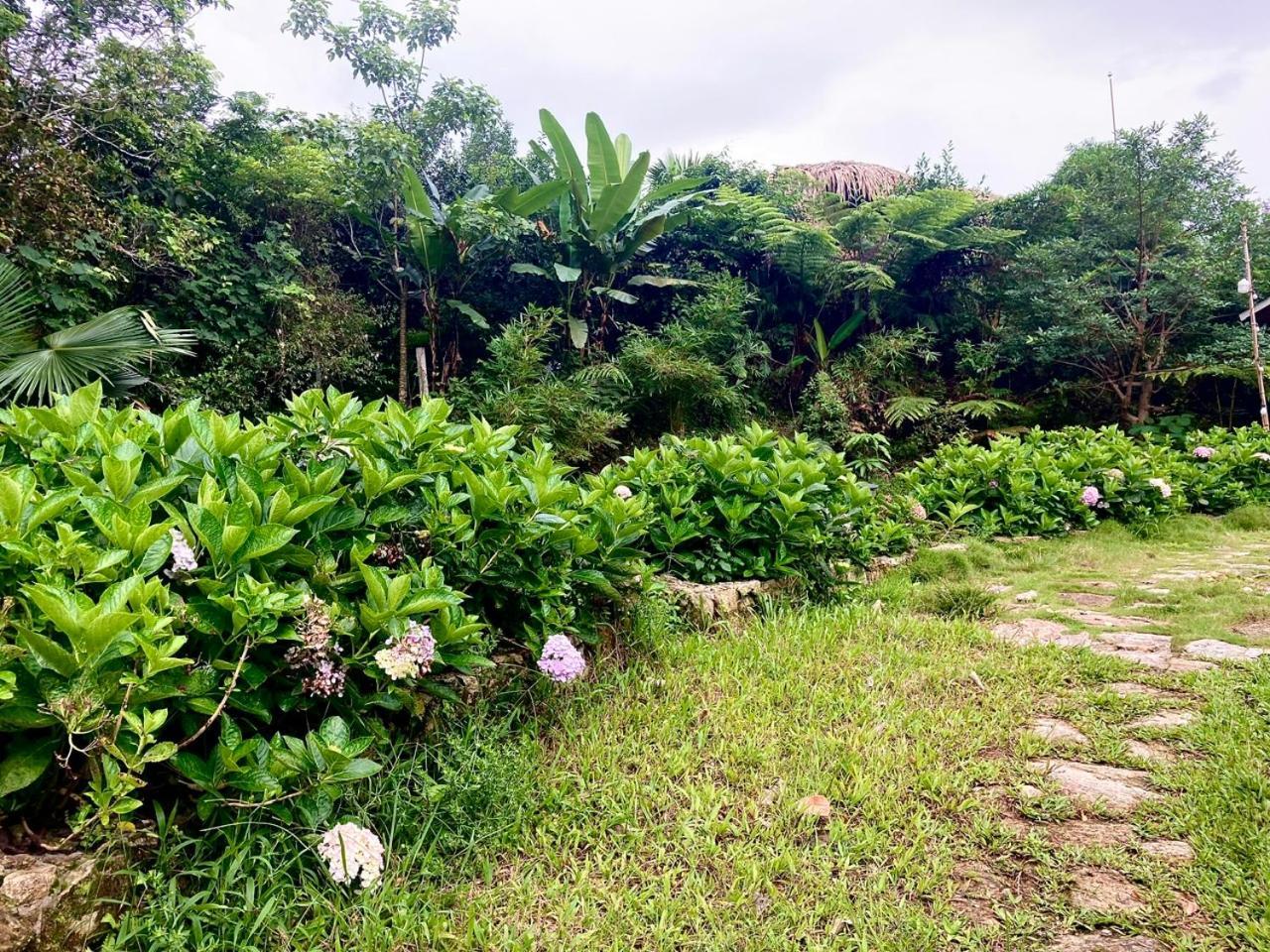 Tvpalm Ecolodge Ha Giang Buitenkant foto