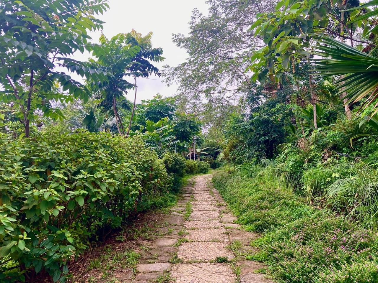 Tvpalm Ecolodge Ha Giang Buitenkant foto