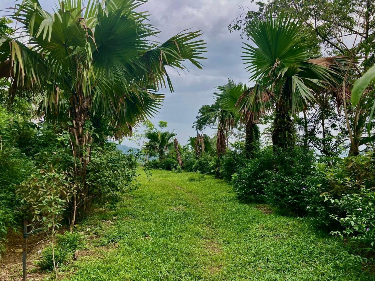 Tvpalm Ecolodge Ha Giang Buitenkant foto
