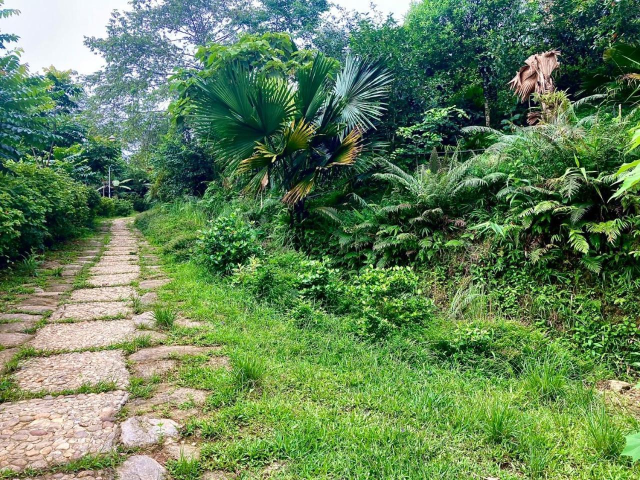 Tvpalm Ecolodge Ha Giang Buitenkant foto